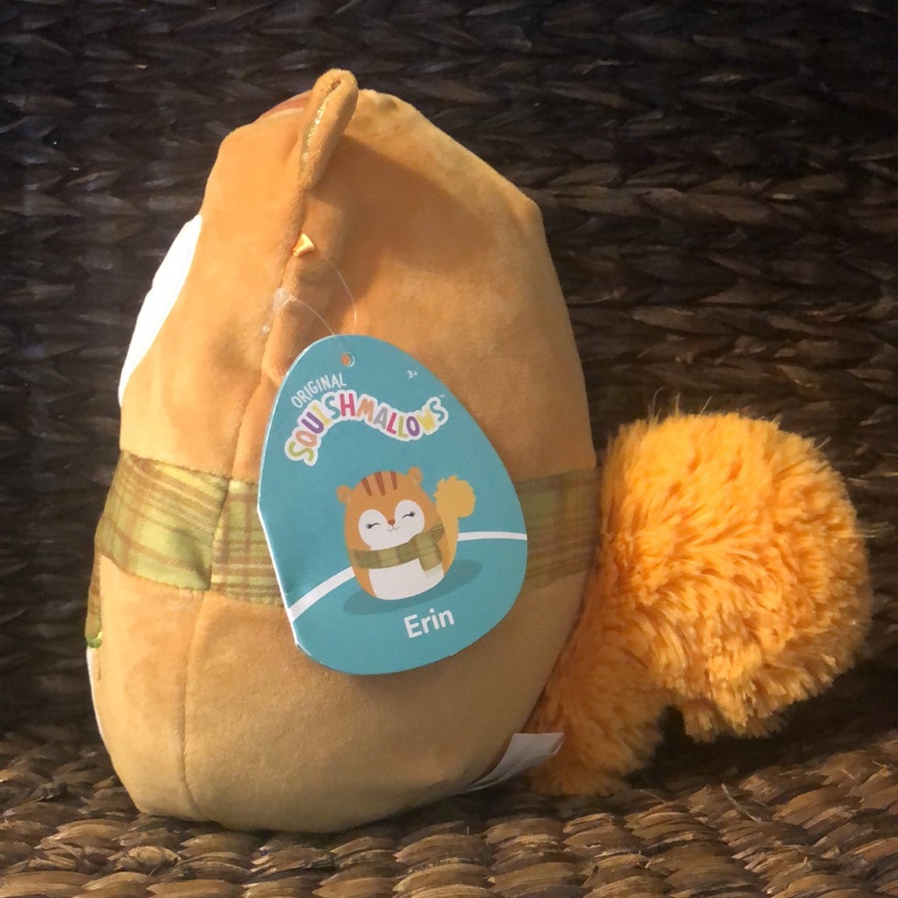 SALE ❤️ NWT Squishmallows Erin the Squirrel Fall collection Stuffed Plush - Picture 5 of 11